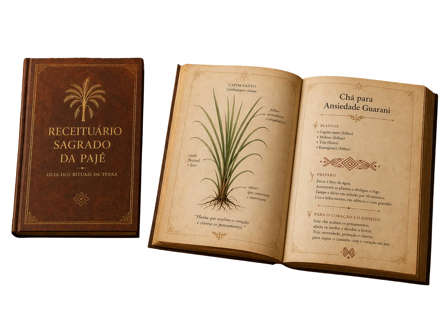 Mockup Recetario Sagrado de la Chamana