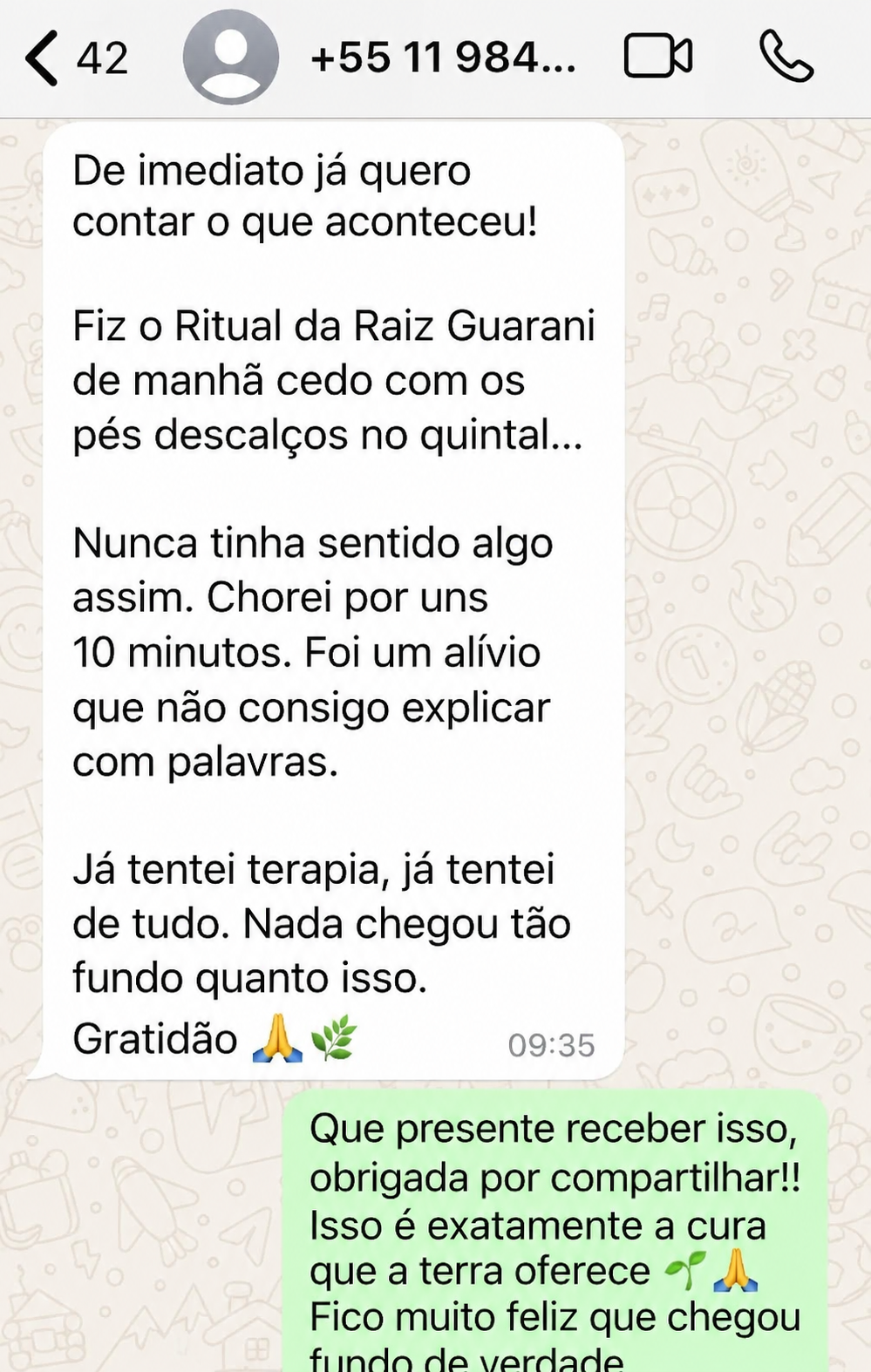 Testimonio 6 de alumno de la Guía de los Rituales